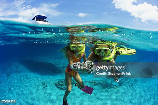 cayman islands, girls snorkeling holding sea urchins, boat above - animal activity stock pictures, royalty-free photos & images