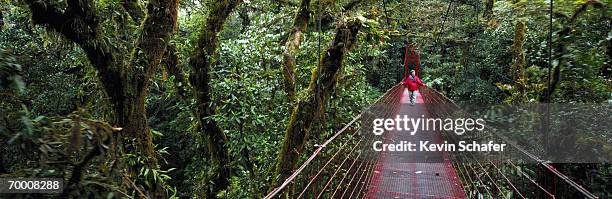 costa rica, cloud forest, woman walking across canopy bridge - foresta pluviale di monteverde foto e immagini stock