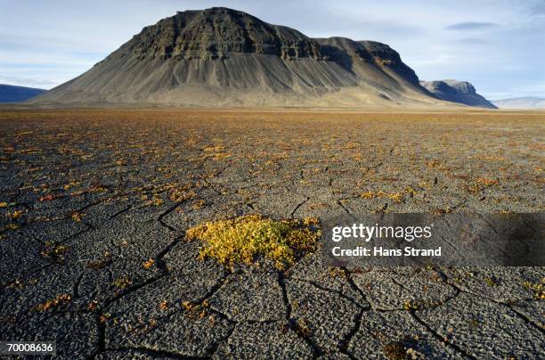 tundra and mountain, southern ellesmere island, nunavut, canada - toendra stockfoto's en -beelden