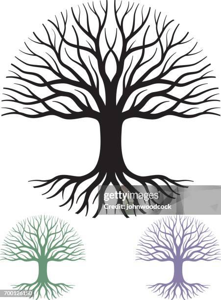 circular tree vector illustration - environmentalist stock illustrations