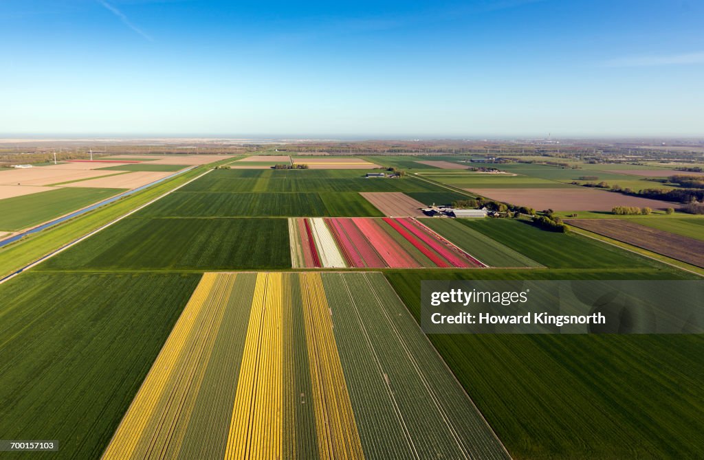 Aerial of Dutch tulip fields