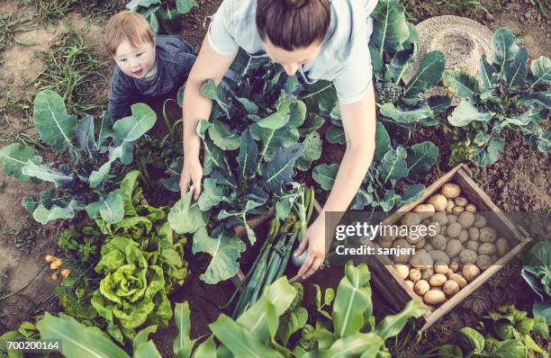 Moeder met zoon zit in een huis van de groente tuin gegroeid