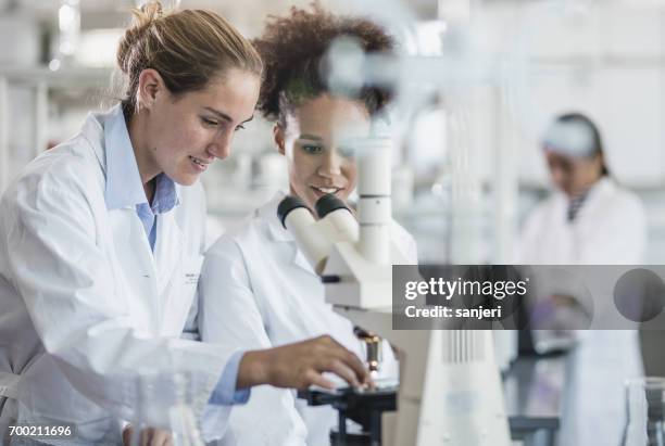 female scientists beside a microscope - groundbreaking female scientists stock pictures, royalty-free photos & images