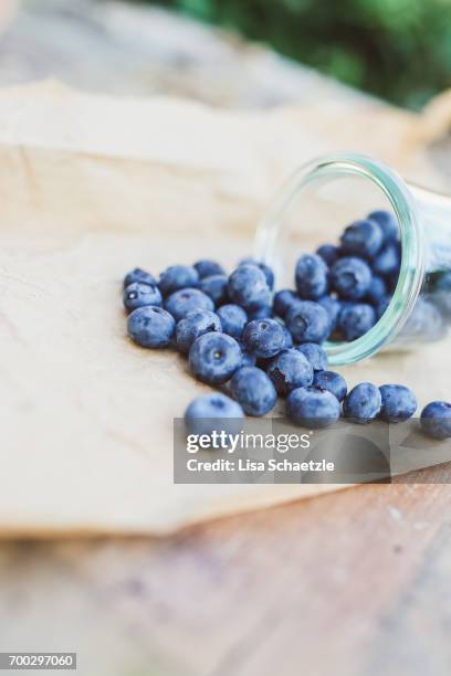 blueberries - speisen - fotografias e filmes do acervo