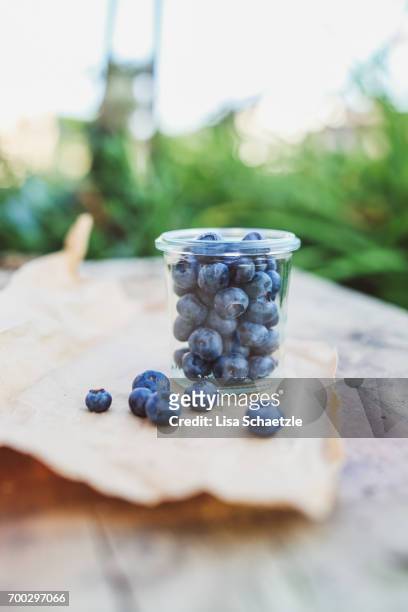 blueberries - bauernberuf stockfoto's en -beelden