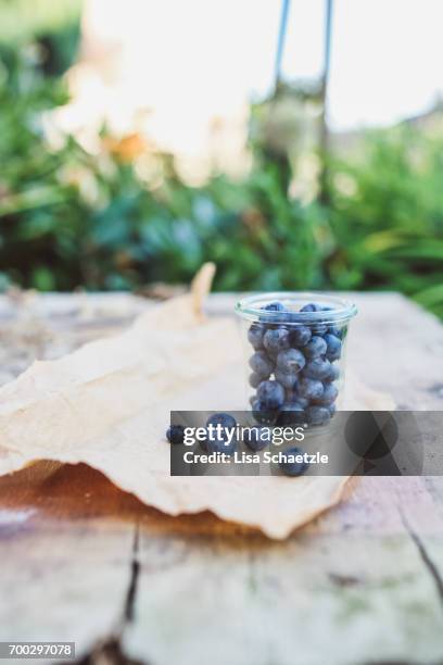 blueberries - speisen - fotografias e filmes do acervo