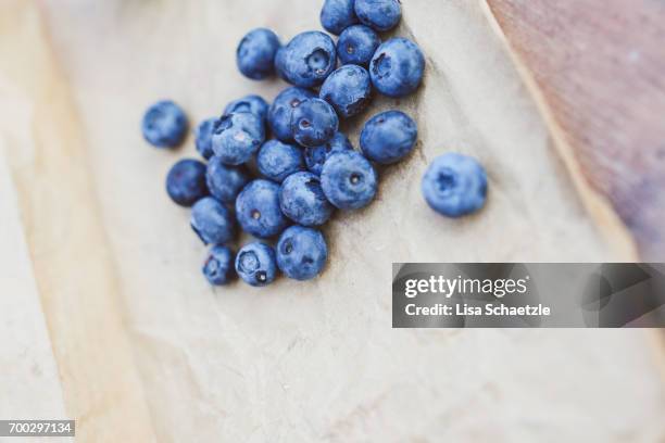 blueberries - bauernberuf - fotografias e filmes do acervo