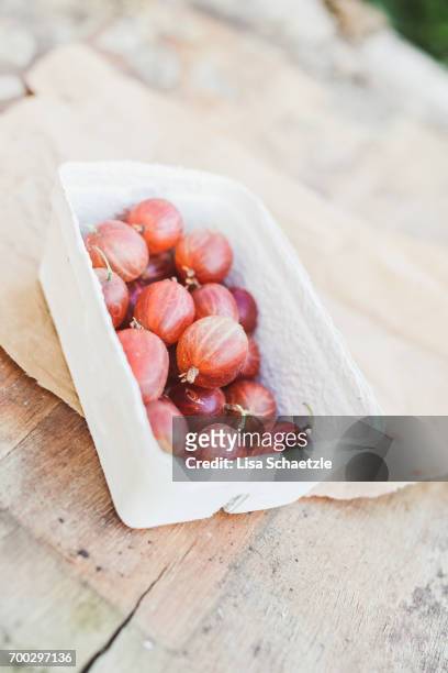 gooseberries in a bowl - bauernberuf stockfoto's en -beelden
