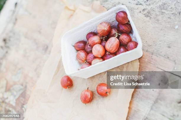 gooseberries in a bowl - gesunder lebensstil stock pictures, royalty-free photos & images