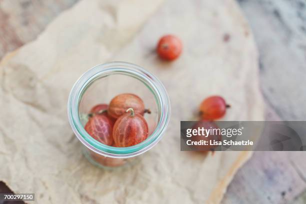 gooseberries in a bowl - gesunder lebensstil stock pictures, royalty-free photos & images