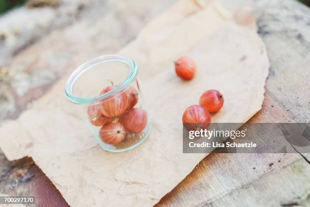 gooseberries in a bowl - gesunder lebensstil stock pictures, royalty-free photos & images