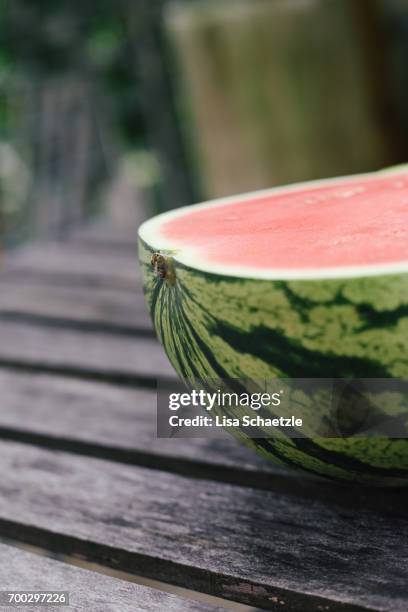 watermelon - das leben zu hause stock pictures, royalty-free photos & images