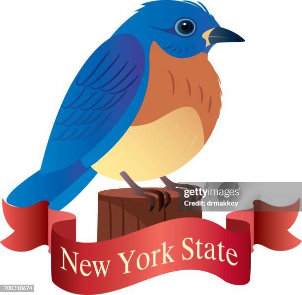 New York State Bird And Flower Photos and Premium High Res Pictures ...