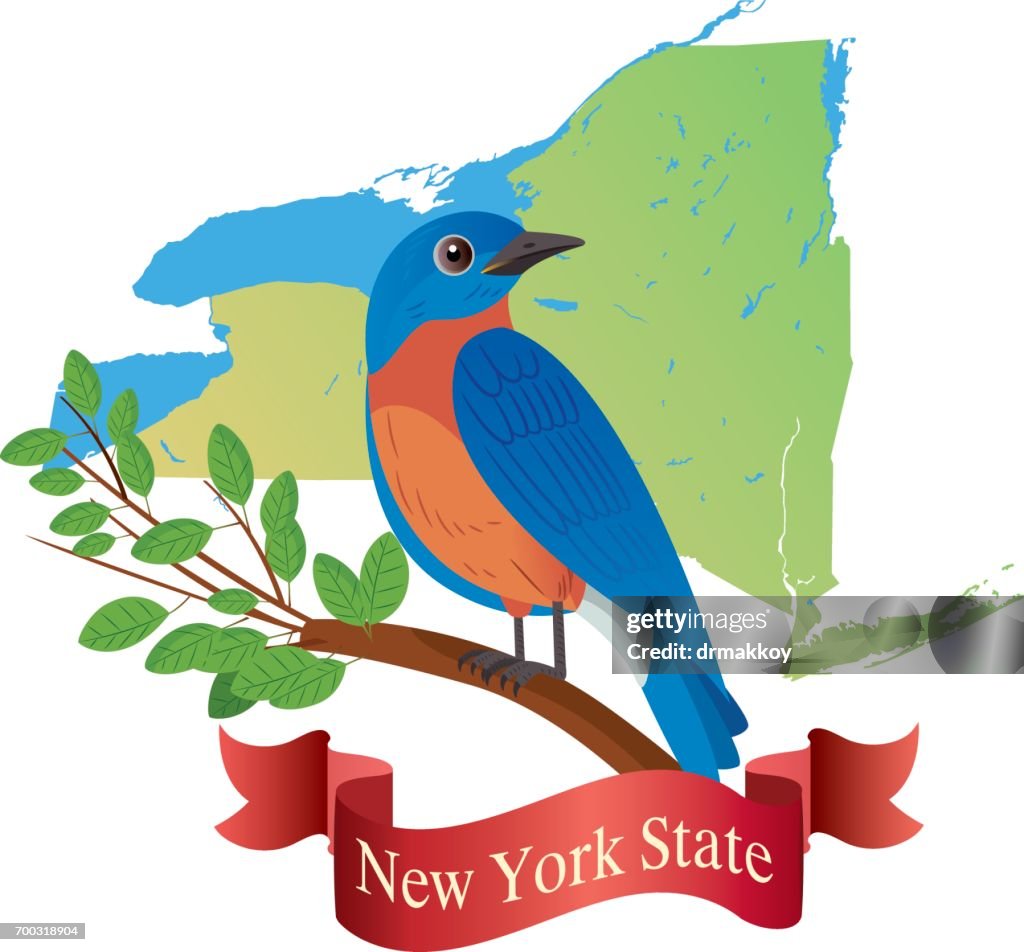 New York State ( Eastern Bluebird )