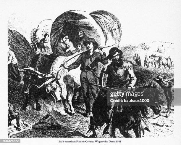 pioneer covered wagon with oxen, early american victorian engraving, 1868 - ox driven stock illustrations