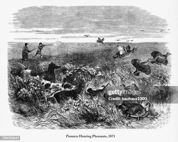 ilustraciones, imágenes clip art, dibujos animados e iconos de stock de caza de faisanes, los pioneros tempranos americano grabado, 1871 - pheasant hunting