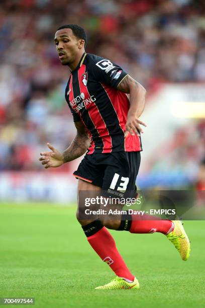 Callum Wilson, Bournemouth