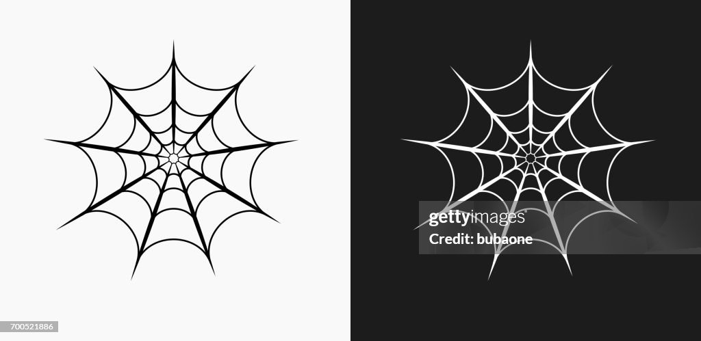 Spider web Icon on Black and White Vector Backgrounds