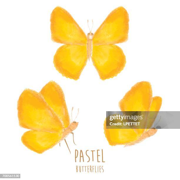 pastel butterflies - pastel crayon stock illustrations