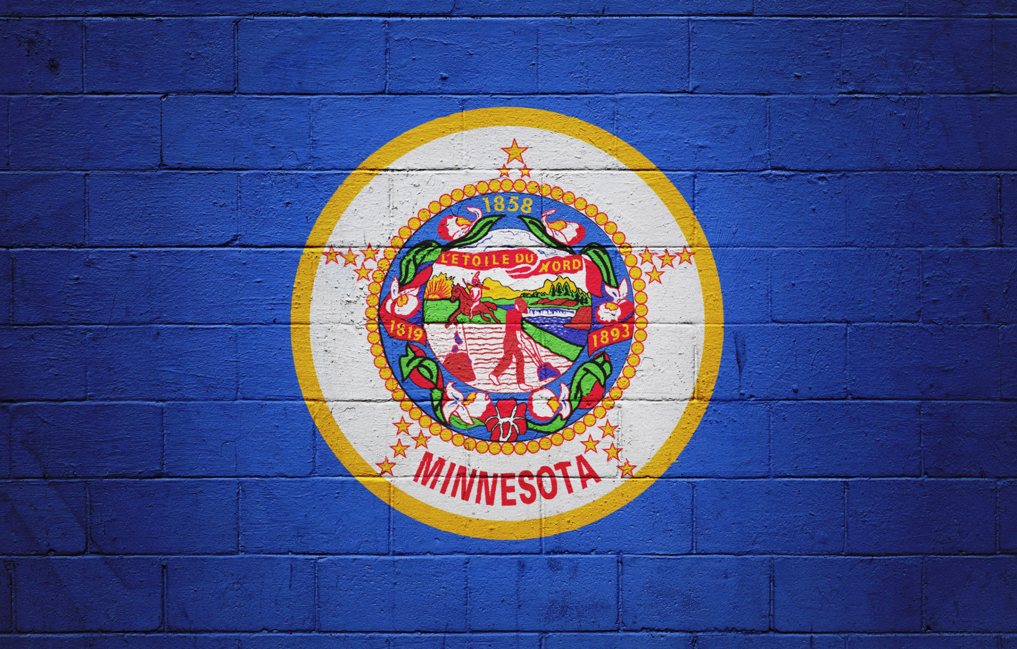 minnesota paint company