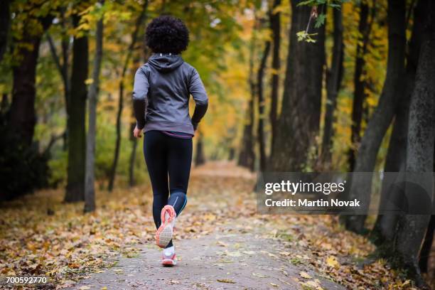 young woman jogging through the fall park, rear shot. - black pants woman fotografías e imágenes de stock