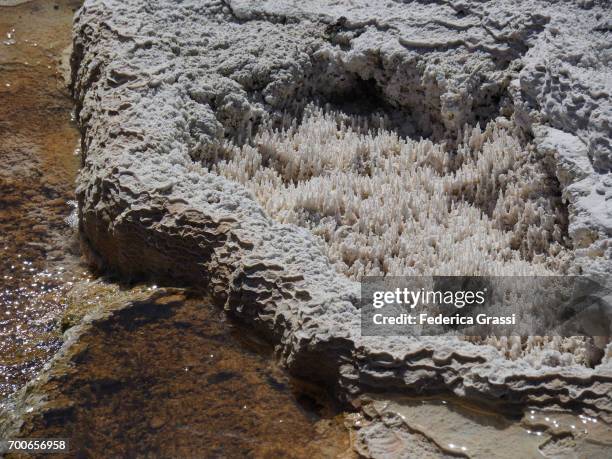 calcium carbonate formations at mammoth hot springs, yellowstone national park - 炭酸石灰 ストックフォトと画像