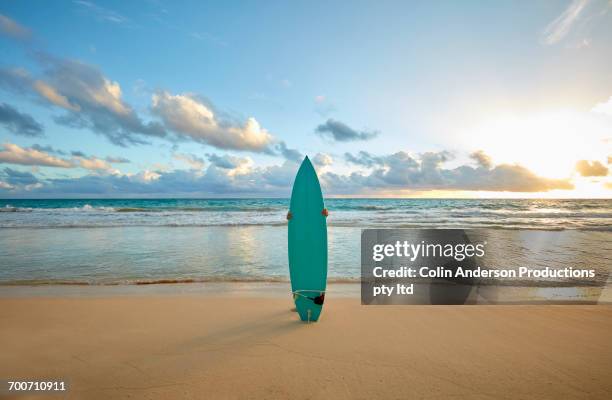 pacific islander woman standing on beach behind surfboard - honolulu beach stock pictures, royalty-free photos & images