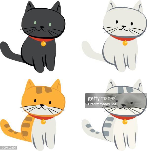cat - pure bred cat stock illustrations