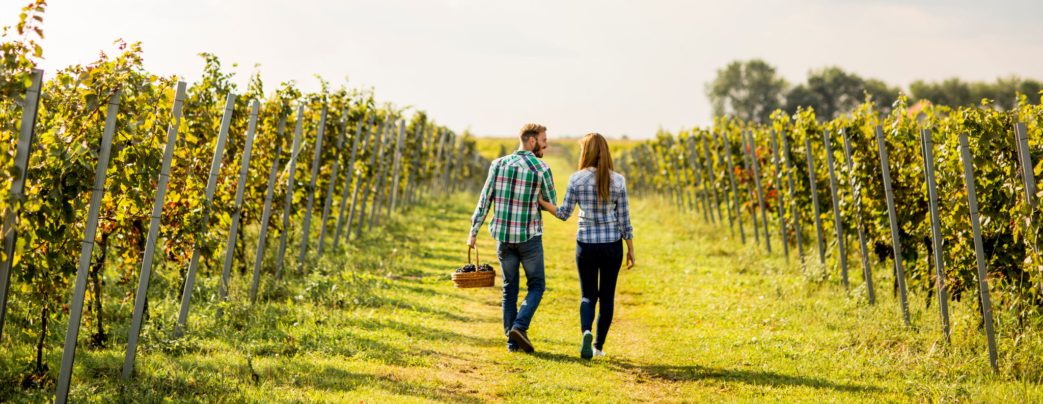 autumn vineyard couple