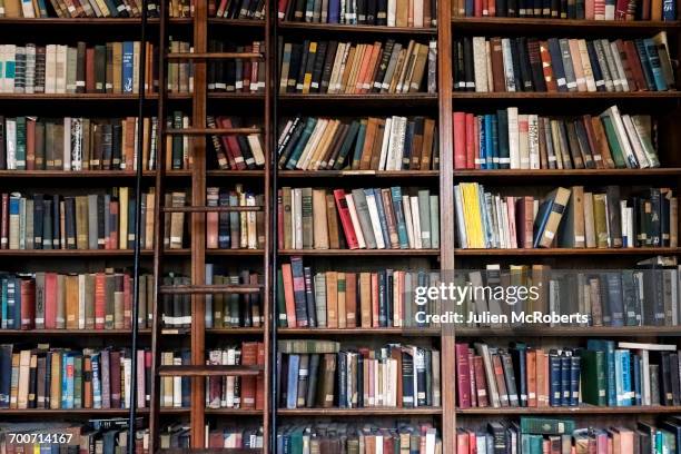 ladder on library bookcase - book background stock pictures, royalty-free photos & images