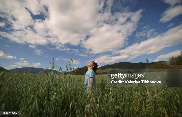 caucasian boy standing in field looking up - kid looking up to the sky imagens e fotografias de stock
