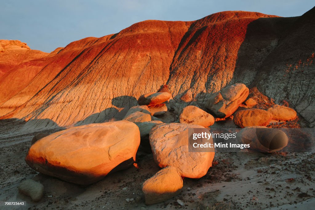 Petrified Forest at dusk