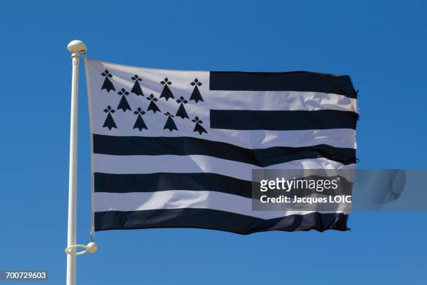 france, brittany, breton flag, gwenn ha du, created in 1923. - bretagne photos et images de collection