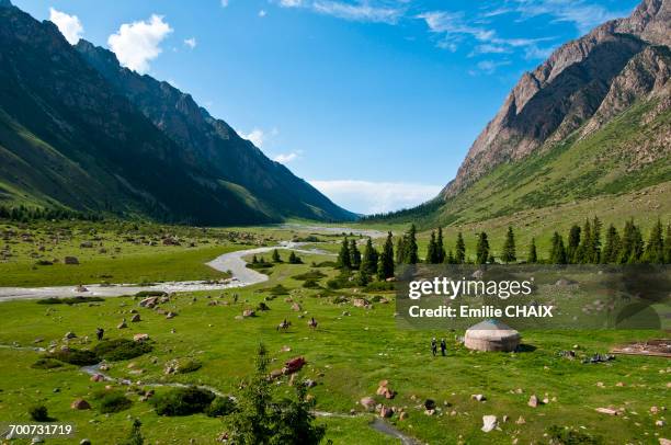 central asia, kyrgyzstan, issyk kul province (ysyk-k_l), juuku valley, every year tourar ousounbaev and nourgul toktosounovas family setlles for a few months in a yurt in the middle of juuku valley - kirgisistan stock-fotos und bilder