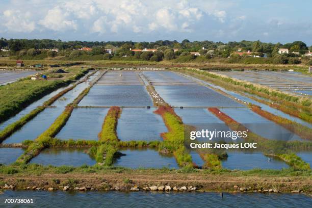 france, western france, noirmoutier island, noirmoutier-en-lile, salt evaporation pond - noirmoutier stockfoto's en -beelden