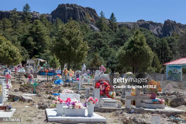 mexico, chihuahua state, sierra tarahumara, indian cemetery, creel - evergreen cemetery stock pictures, royalty-free photos & images