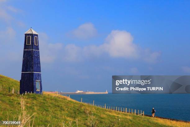 england, dover. natural reserve of 30 hectare. samphire hoe is a new piece of england made from 4.9 million cubic metres of chalk marl dug to create the channel tunnel - folkestone stock pictures, royalty-free photos & images