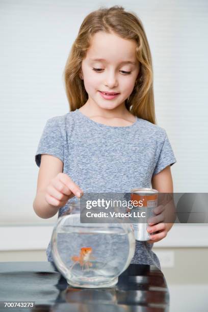 girl feeding gold fish - goldfish bowl stock pictures, royalty-free photos & images
