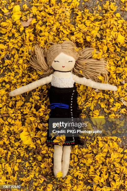 doll and glitterring shoes among fresh flowers - boneca de pano - fotografias e filmes do acervo