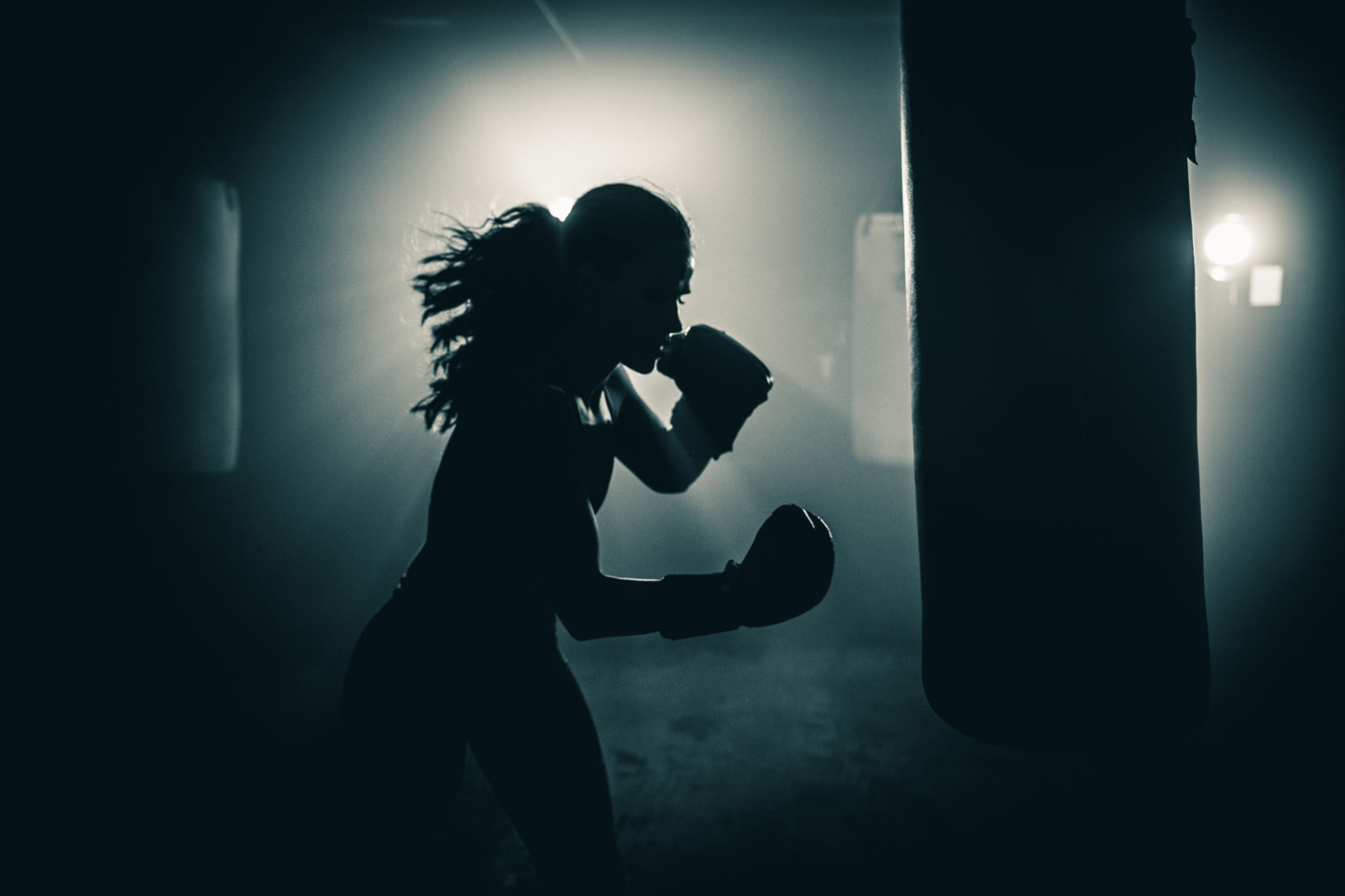boxer training
