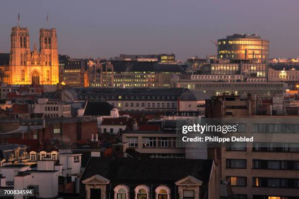 belgium, brussels, cathedral of st michael and st gudula above the rooftops of the city - city of brussels stockfoto's en -beelden