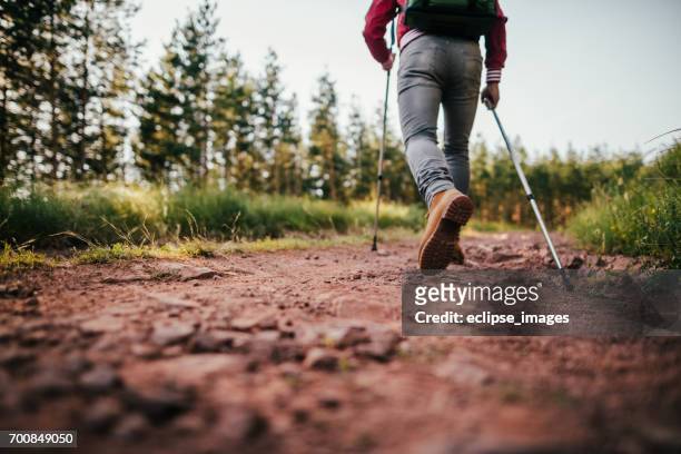 mann mit wandern pole zu klettern - nordic walking pole stock-fotos und bilder