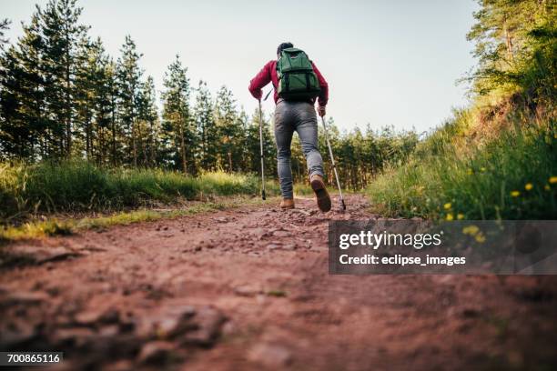 mann mit wandern pole zu klettern - nordic walking pole stock-fotos und bilder