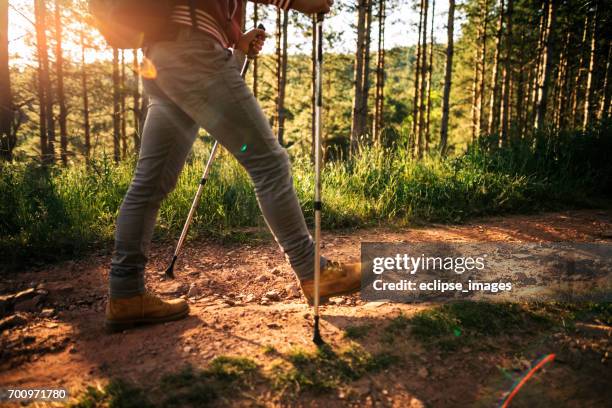 mann mit wandern pole zu klettern - nordic walking pole stock-fotos und bilder