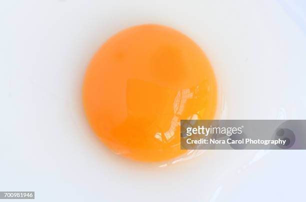 top view on an egg's yolk - egg yolk stock pictures, royalty-free photos & images