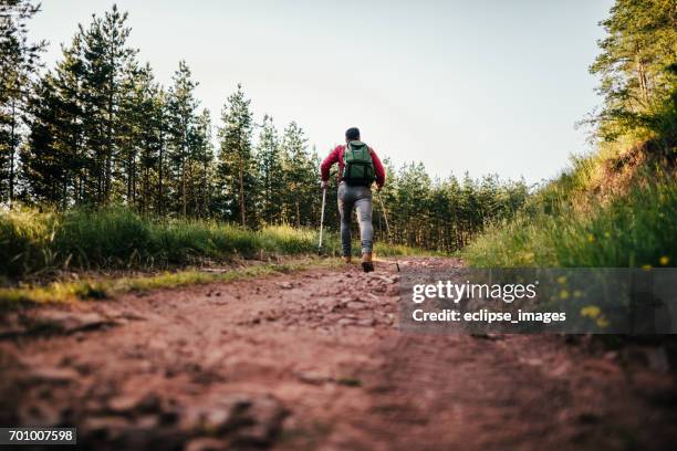 mann mit wandern pole zu klettern - nordic walking pole stock-fotos und bilder