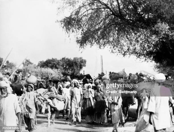 Muslim refugees, carrying their personal belongings and leading beasts of burden, shown on the long trek to the Muslim free state of Pakistan.