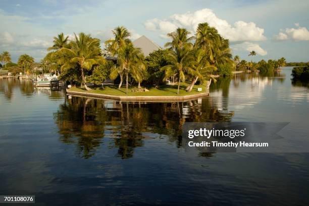 reflections of palm trees and clouds in a still cove - matlacha stock pictures, royalty-free photos & images