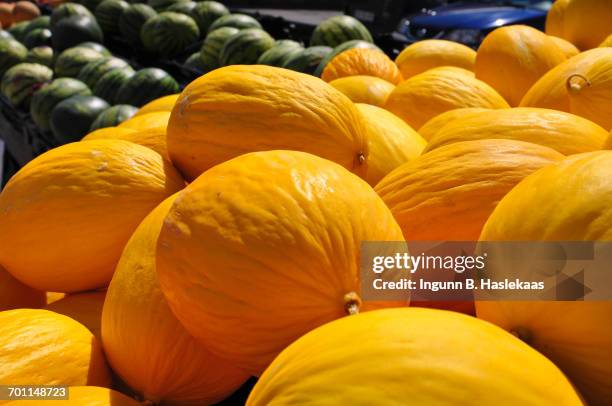 color surge - canary melon stock pictures, royalty-free photos & images