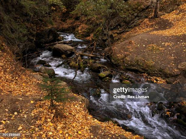 best of month - chugach state park stock-fotos und bilder